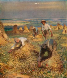 Attacher les gerbes, 1902, 1923