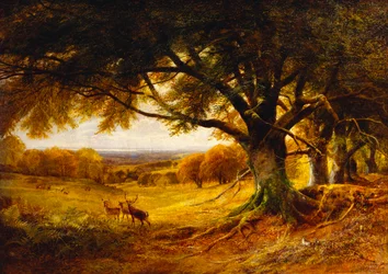 Spithead, Uppark, Sussex, 1868