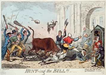Chasse au taureau