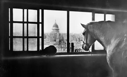 Cheval surplombant la cathédrale Saint-Paul depuis une écurie à plusieurs étages, Londres
