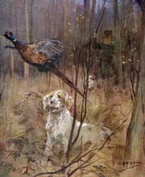 Chasse au faisan à l
