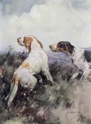 Setters