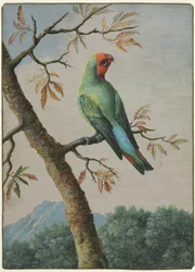 Étude d