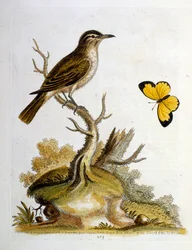 Illustration à l