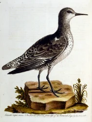 Illustration à l