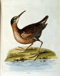 Illustration à l