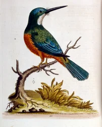 Illustration à l