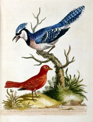 Illustration à l