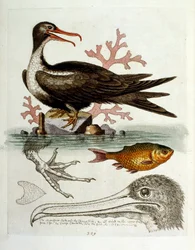 Illustration à l