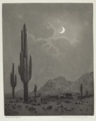 Nouvelle lune et étoile du soir