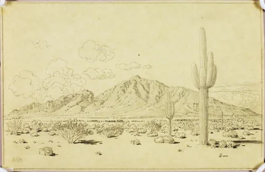 Sans titre (dessin de report pour Camelback Mountain, Phoenix)