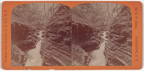 Paysage de Watkins Glen, gorge de l