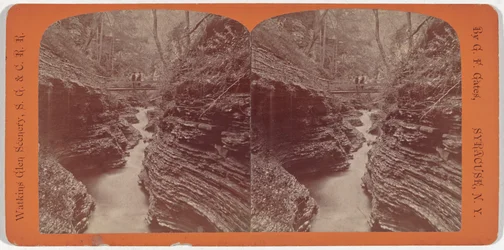 Paysage de Watkins Glen, gorge de l