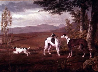 Lévriers dans un Paysage