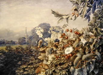 Paysage d