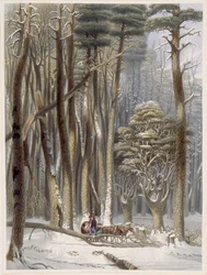 Hiver, Voyageurs entravés dans une forêt de pins, de Scènes de la forêt primitive d