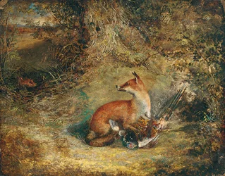 Un renard avec un faisan