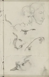 Têtes de chevaux et d