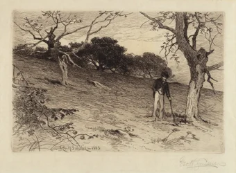 Vieux Verger de la Nouvelle-Angleterre