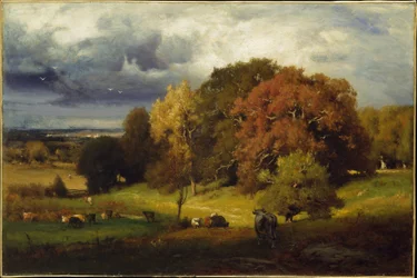 Chênes d