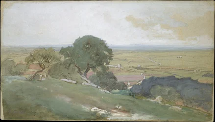 Les oliviers à Tivoli