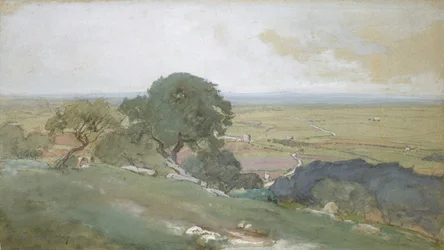 Oliviers à Tivoli