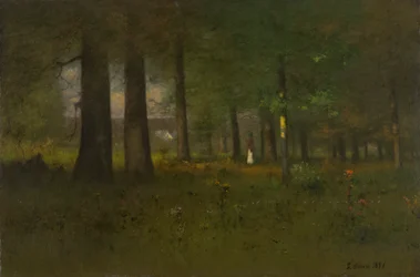 Le bord de la forêt
