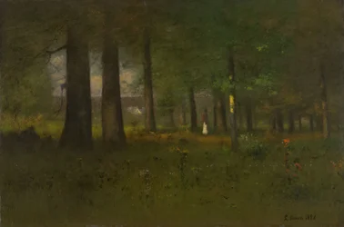 La lisière de la forêt
