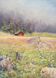 Dans les champs de début juillet à Champex