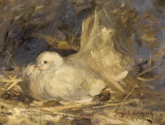 La colombe couveuse