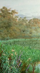 Été