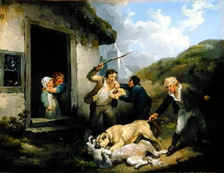 Chiens se battant