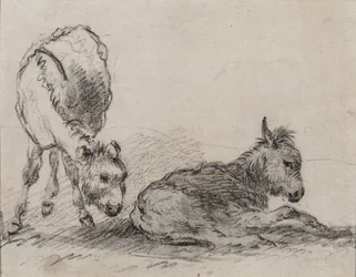 Ânons