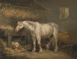 Vieux chevaux avec un chien dans une étable