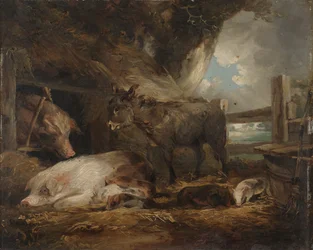 Visite à la porcherie
