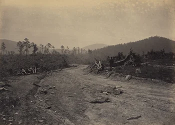 Buzzard Roost, Géorgie