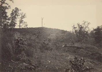 Montagne de pins, années 1860