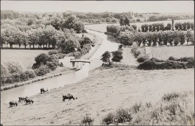 Vue vers le pont de Globe Lane sur le Grand Union Canal, 20e siècle (photo)