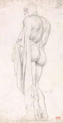 Vue de dos d