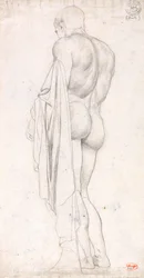 Vue de dos d
