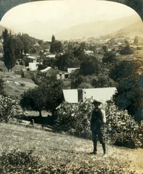 Vue à vol d