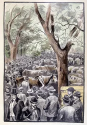 La foule se pressait déjà sur le lieu du concours (page 259) dans "Testament d