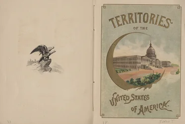 Drapeaux de toutes les nations et des États-Unis d
