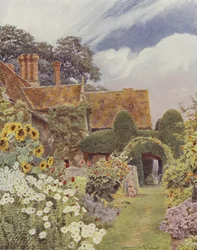 Cleeve Prior, Tournesols