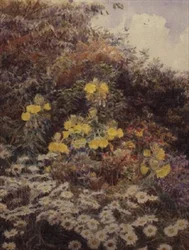 Onagres du soir, Swinford Manor