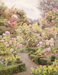 Raundscliffe - Partout des roses