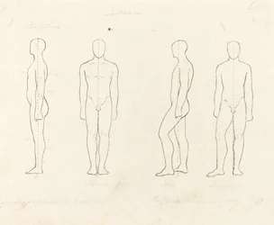 Étendue du mouvement, vue de face et de côté en équilibre, soutenu sur une jambe