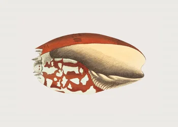 Couronne d