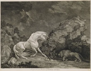 Un cheval effrayé par un lion, gravé par l