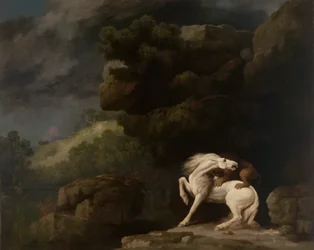 Un lion attaquant un cheval